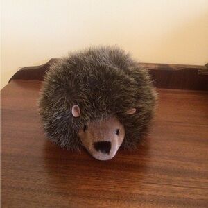 Kosen Hedgehog